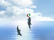 Dolphin Dreams screenshot